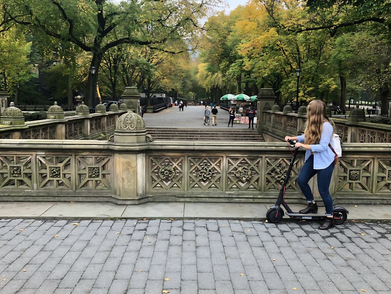 紐約中央公園電動滑板車租賃
