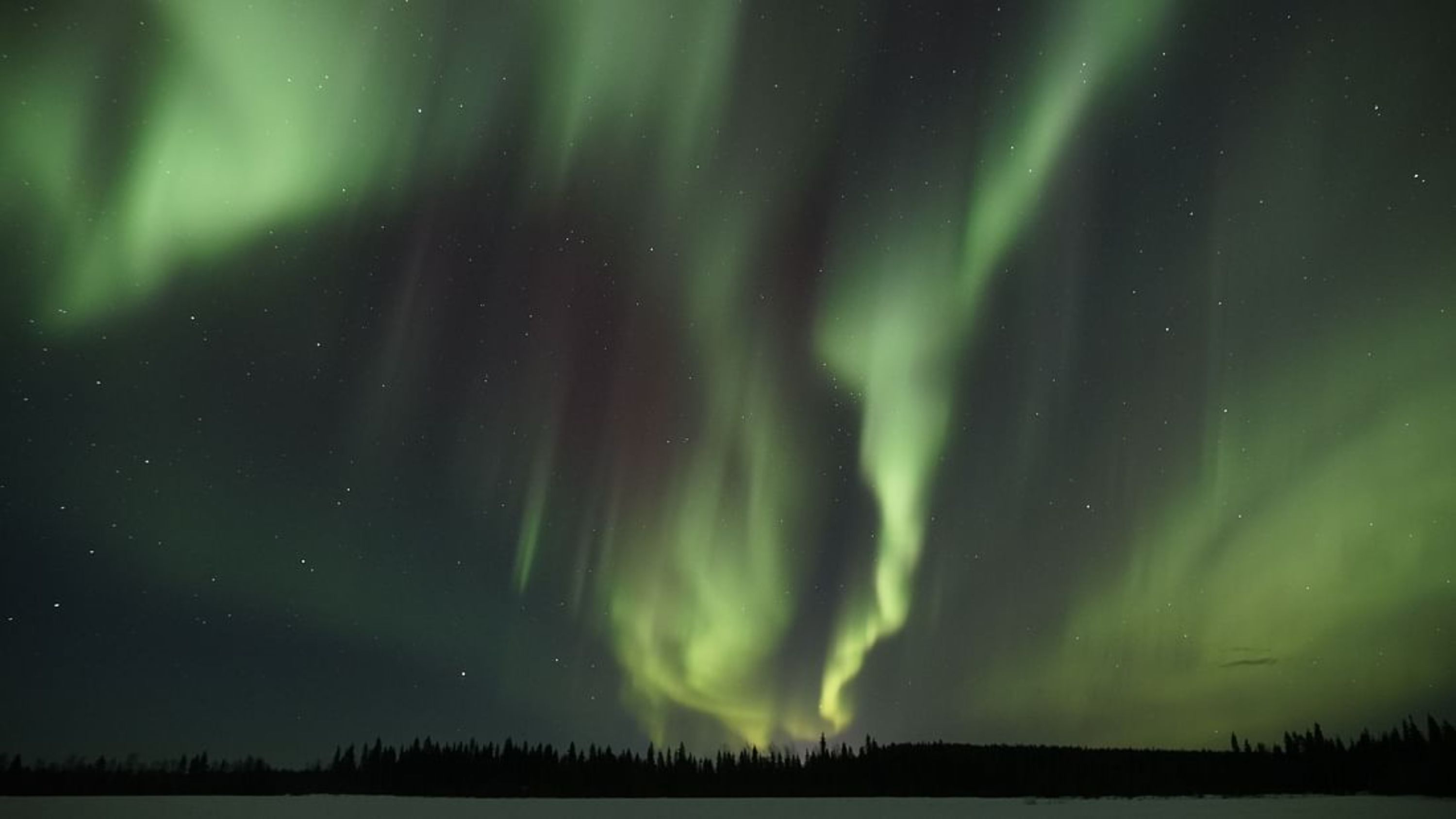 羅瓦涅米北極光之旅（Aurora Borealis tour）並享用拉普蘭野餐