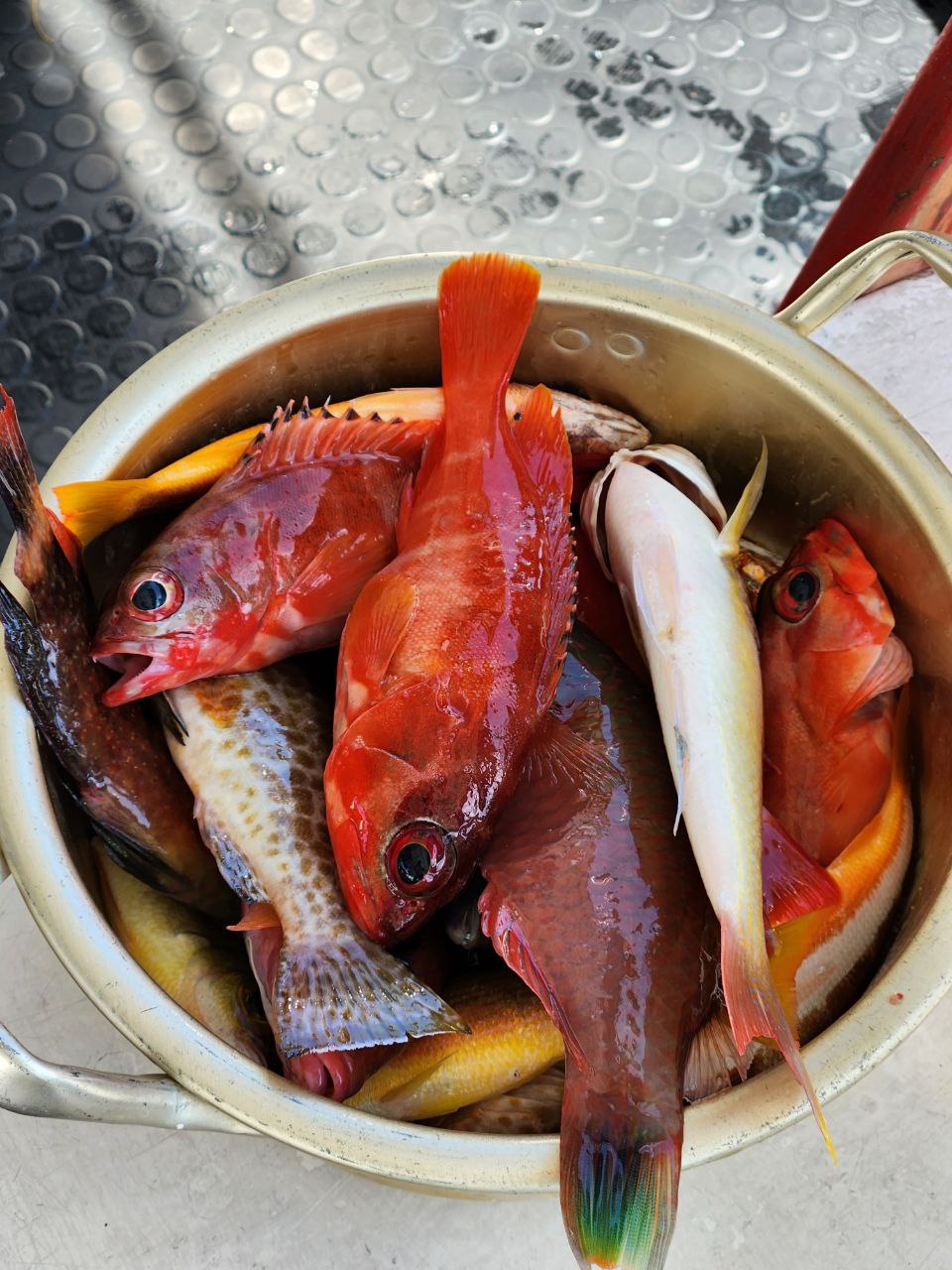 亞庇釣魚＆浮潛＆SUP 立式划槳體驗（含船上餐飲）