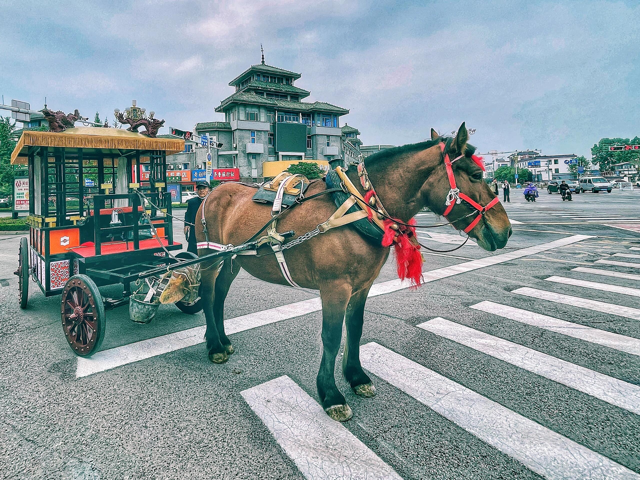 山東曲阜三孔孔廟孔府孔林顏廟一日遊（非遺馬車體驗+千年至聖之旅：從孔廟晨鐘到孔林暮鼓）