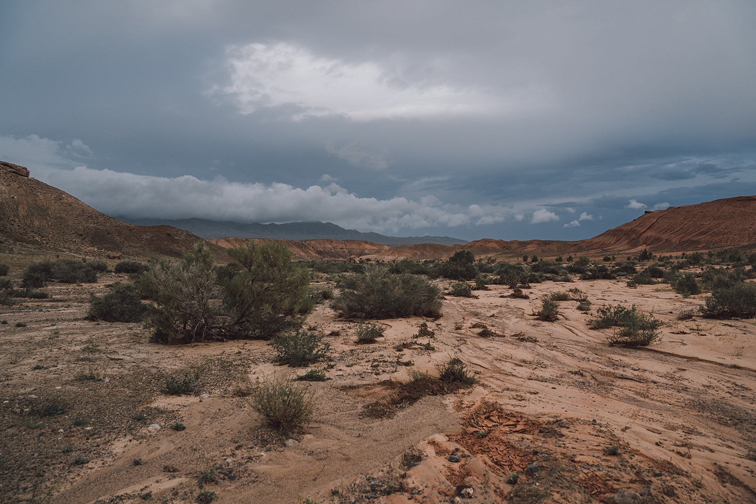 Altyn-Emel National Park: 1-Day Adventure Private Tour