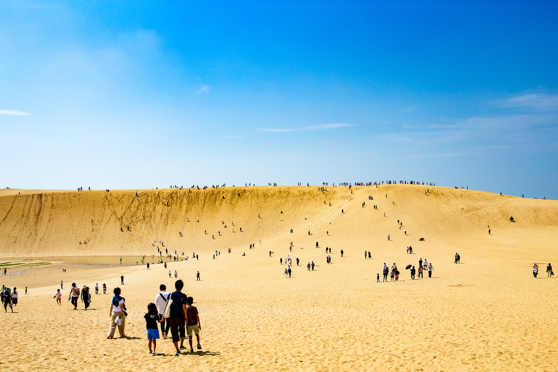 Tottori Sand Dunes & Uradome Coast One-Day Private Sightseeing Tour