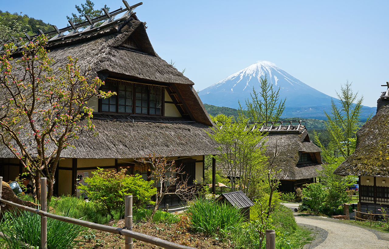 富士山探索之旅｜新倉山淺間公園·天梯小鎮·忍野八海·河口湖大石公園·西湖療愈里根場一日遊