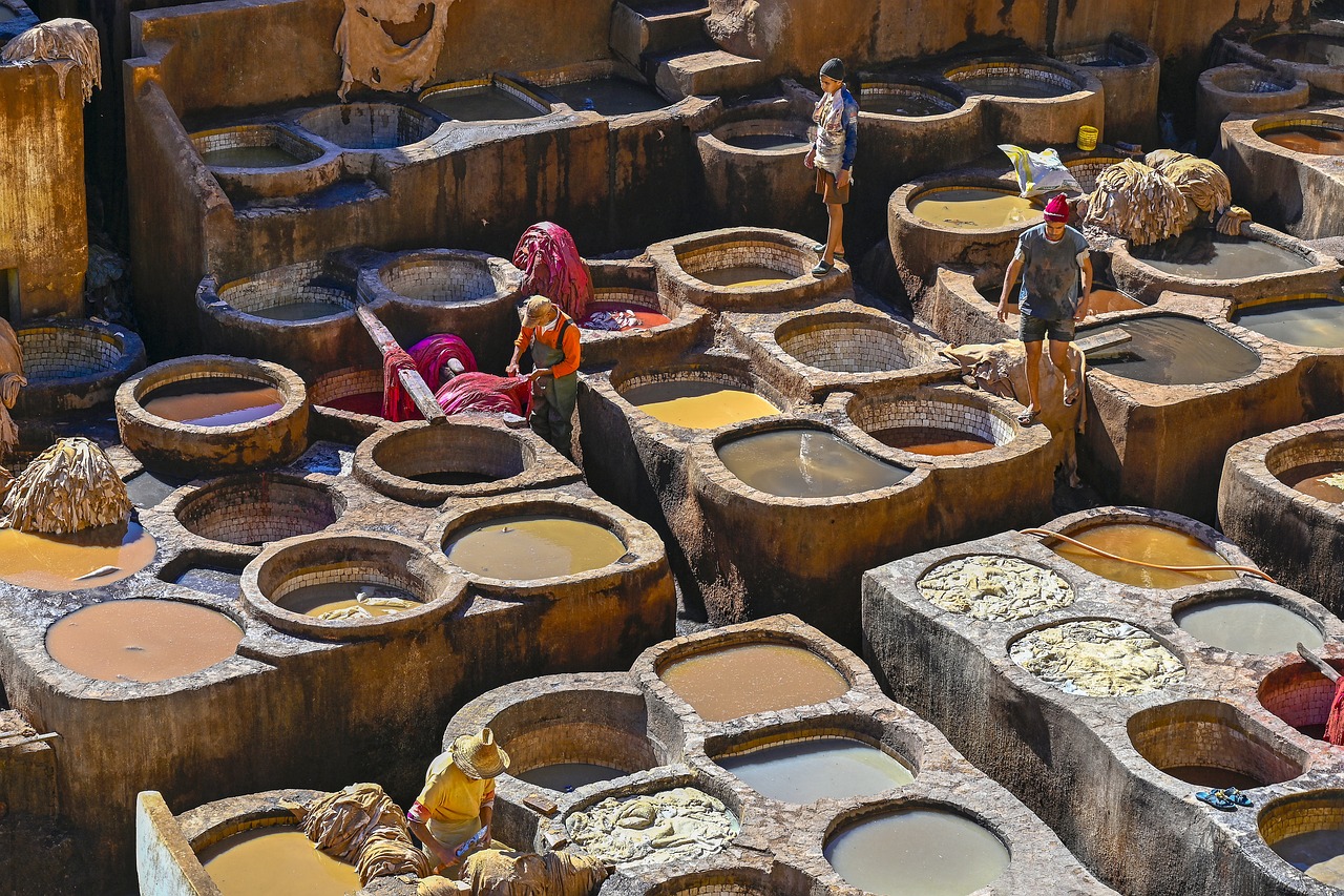 Fez: Royal Palace, Museum, Tannery & Old Souks Medina Tour