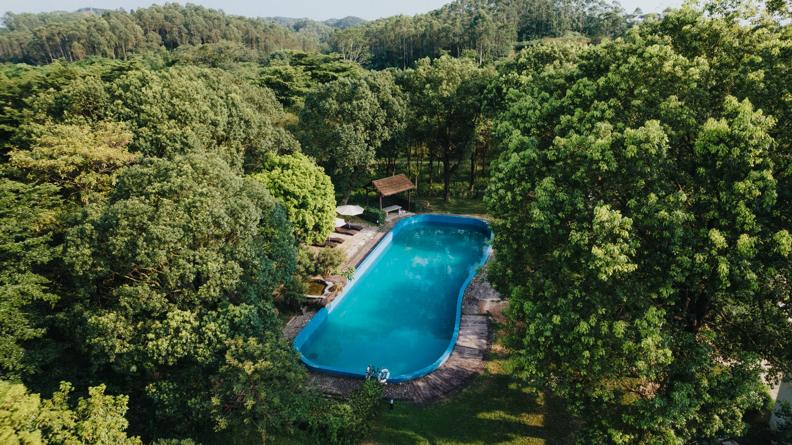 The birds on the branches are also intoxicated by this warmth. Pulling back the tulle curtain, every scene is a natural poetic painting, and every scene is a lively green mountain and green water.