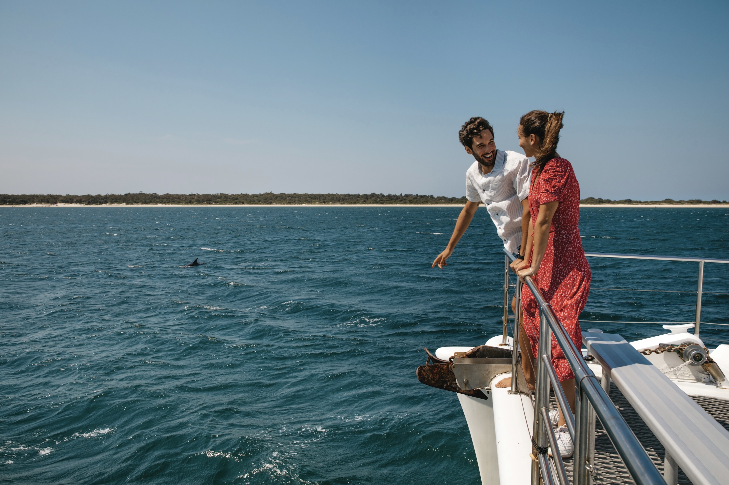 Watching dolphins playing in the ocean from your dolphin watching cruise 
Photo Credit: Destination NSW