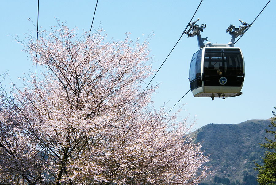 hakone ropeway