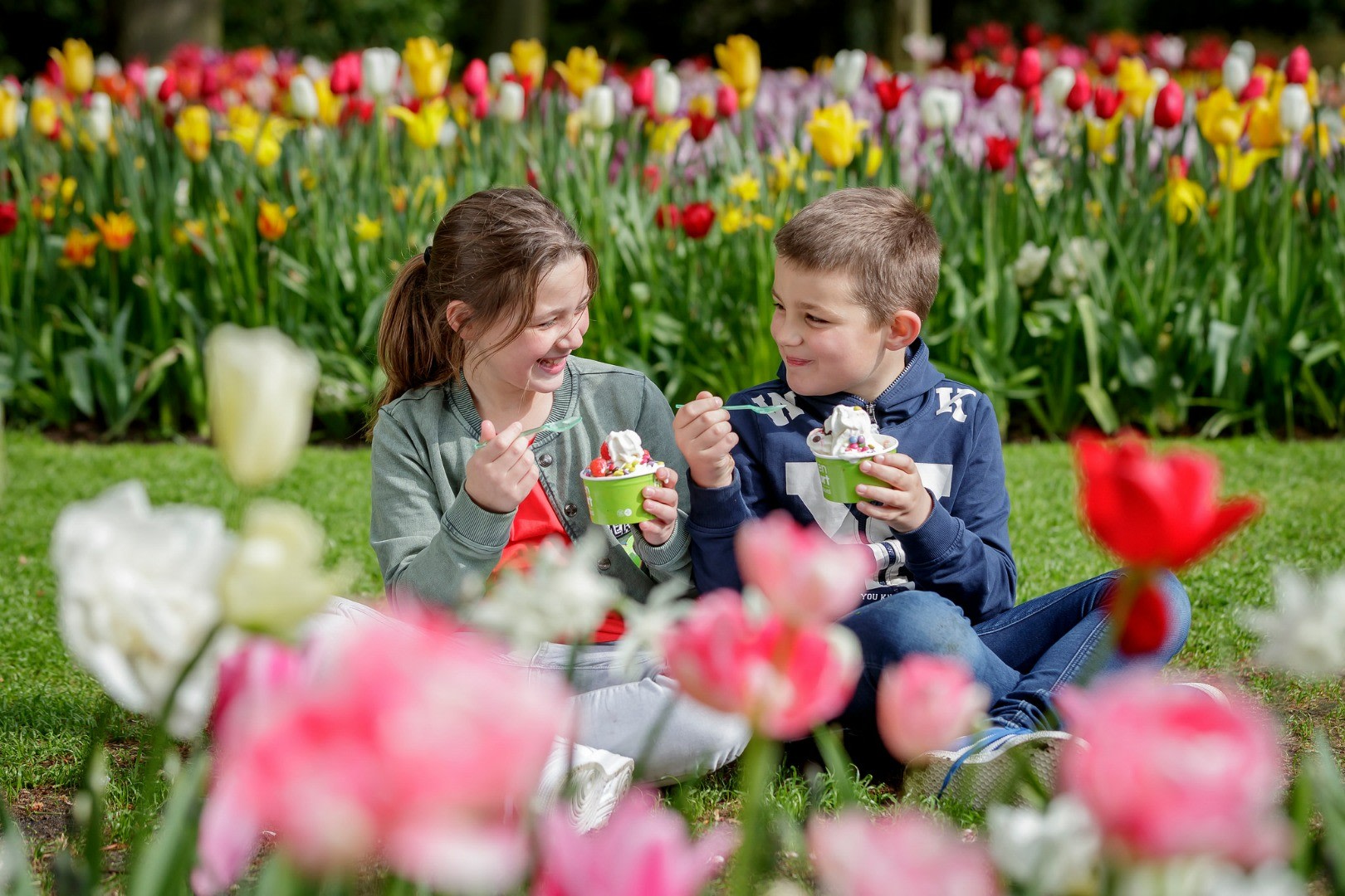 Keukenhof Tours with Countryside and Cruise Options