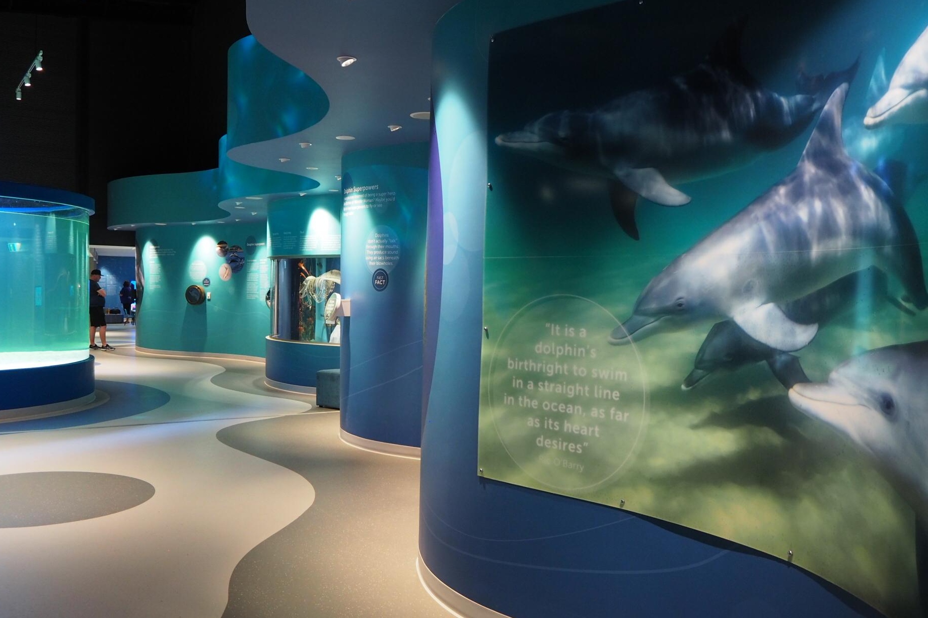 班伯利 Dolphin Discovery Centre 門票