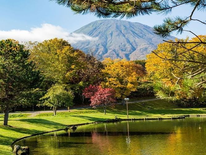 [Hokkaido | Noboribetsu Lake Toya Niseko One-Day Tour] Little Fuji Yotei & Takahashi Ranch & Lake Toya & Noboribetsu Hell Valley & Bear Ranch & Kyogoku Famous Water Park & Winter Lake Shikotsu Ice Wave Festival One-day Tour ｜Departure from Sapporo