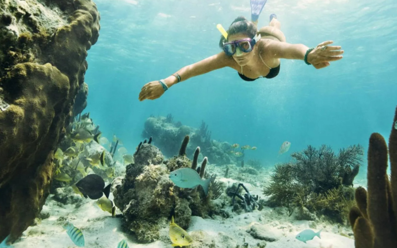 Punta Nizuc and MUSA Underwater Museum Snorkeling Experience