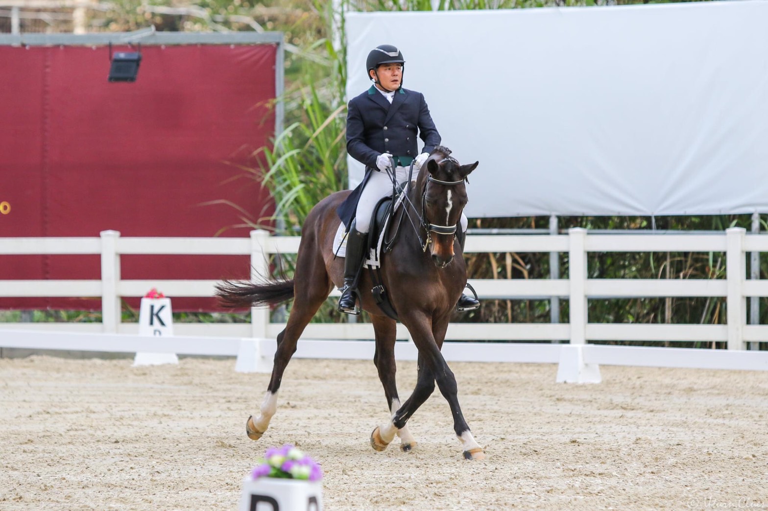 Equestrian Experience in New Taipei