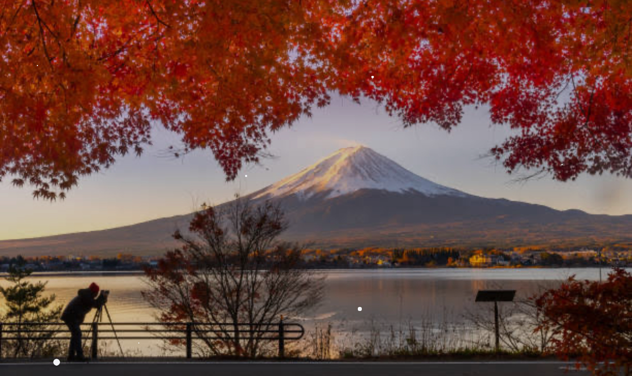 富士山一日私人遊（配有英語司機）