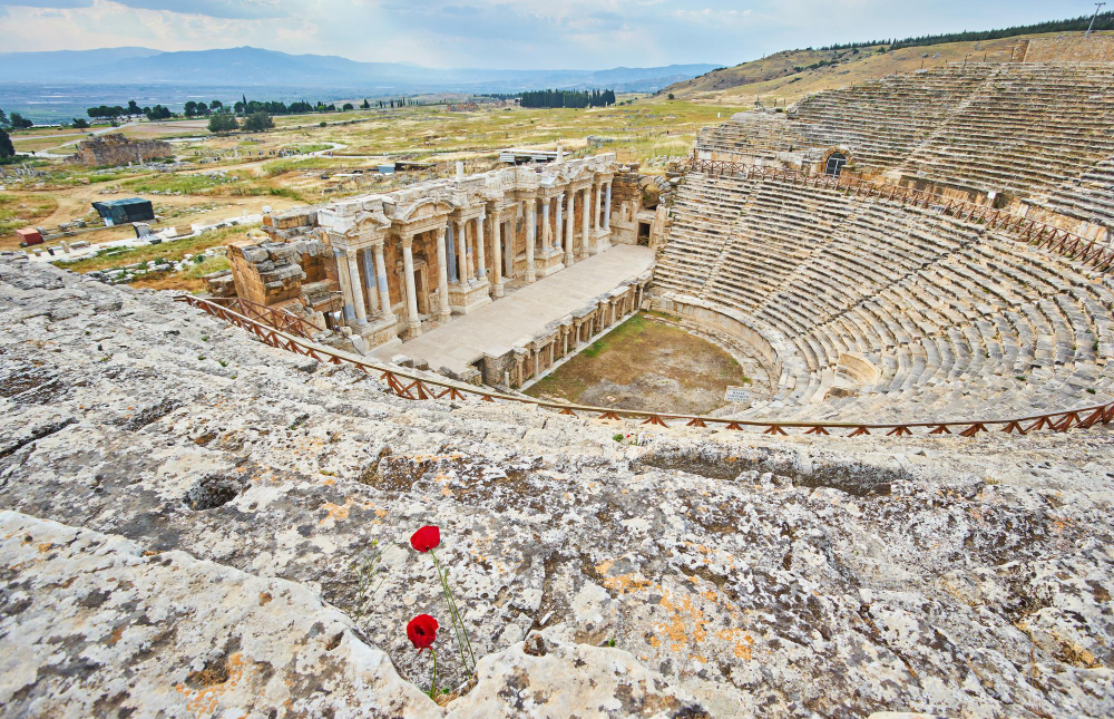 Budget-Friendly Shuttle: From Kusadasi to Ephesus