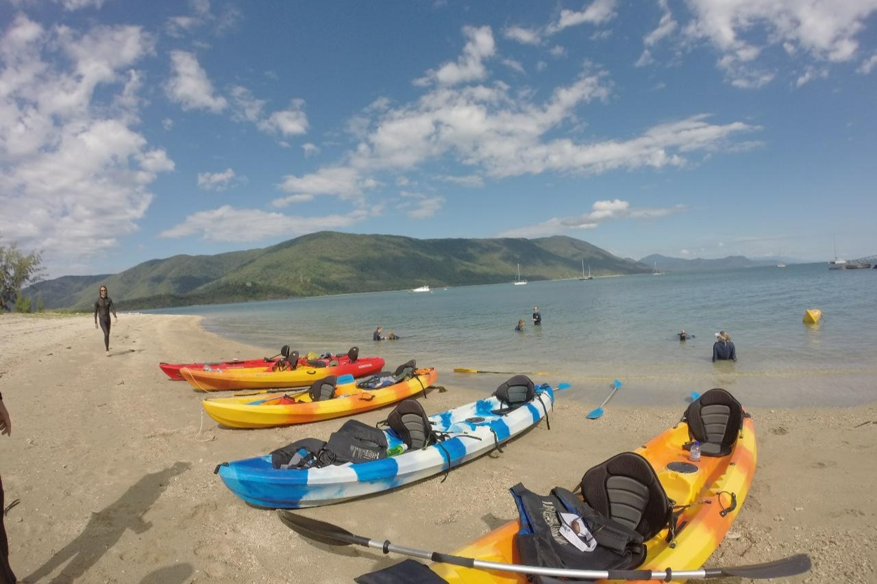 Half Day Kayak Turtle Tour in Cairns