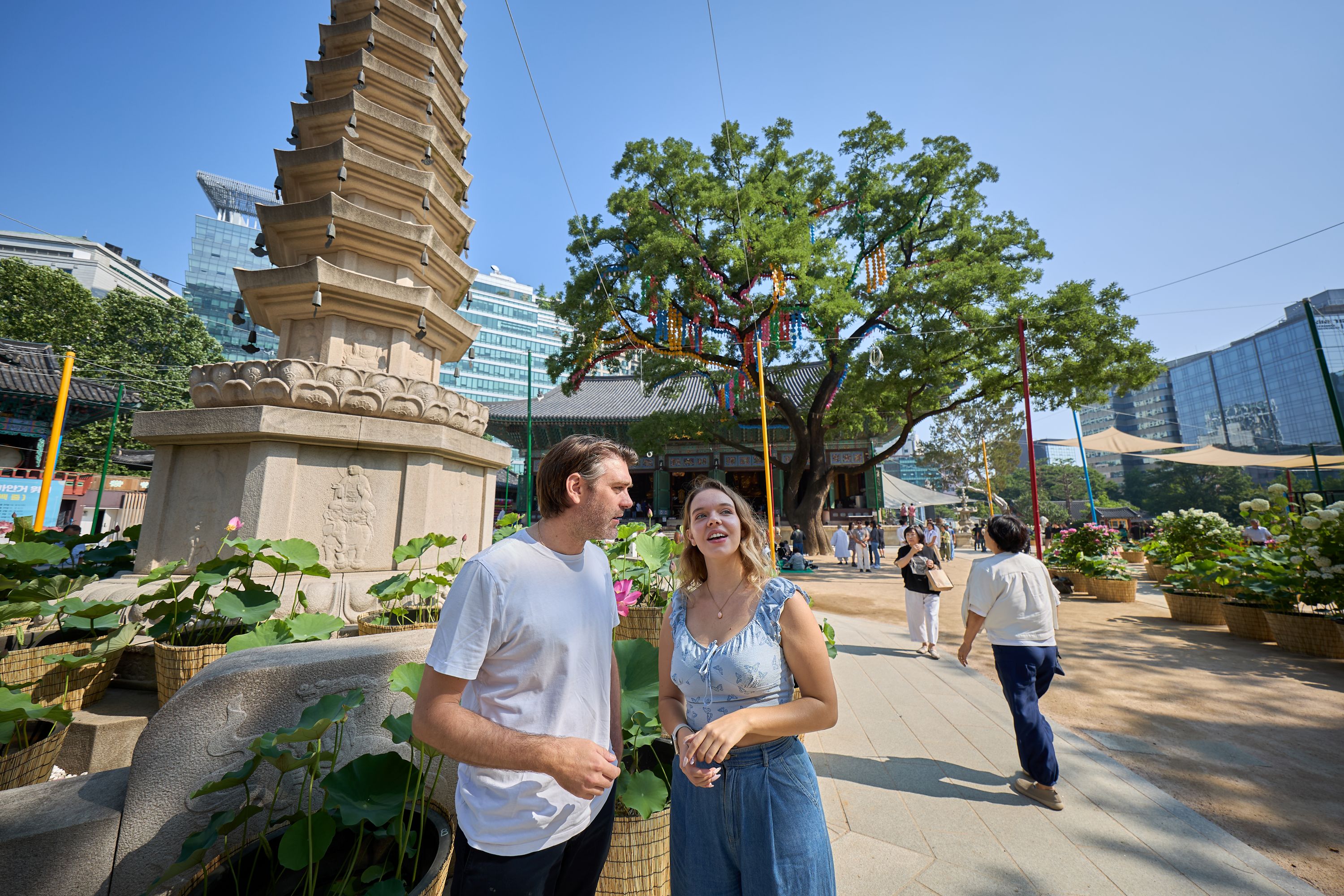 最佳首爾宮殿和N首爾塔之旅（半日和全天）