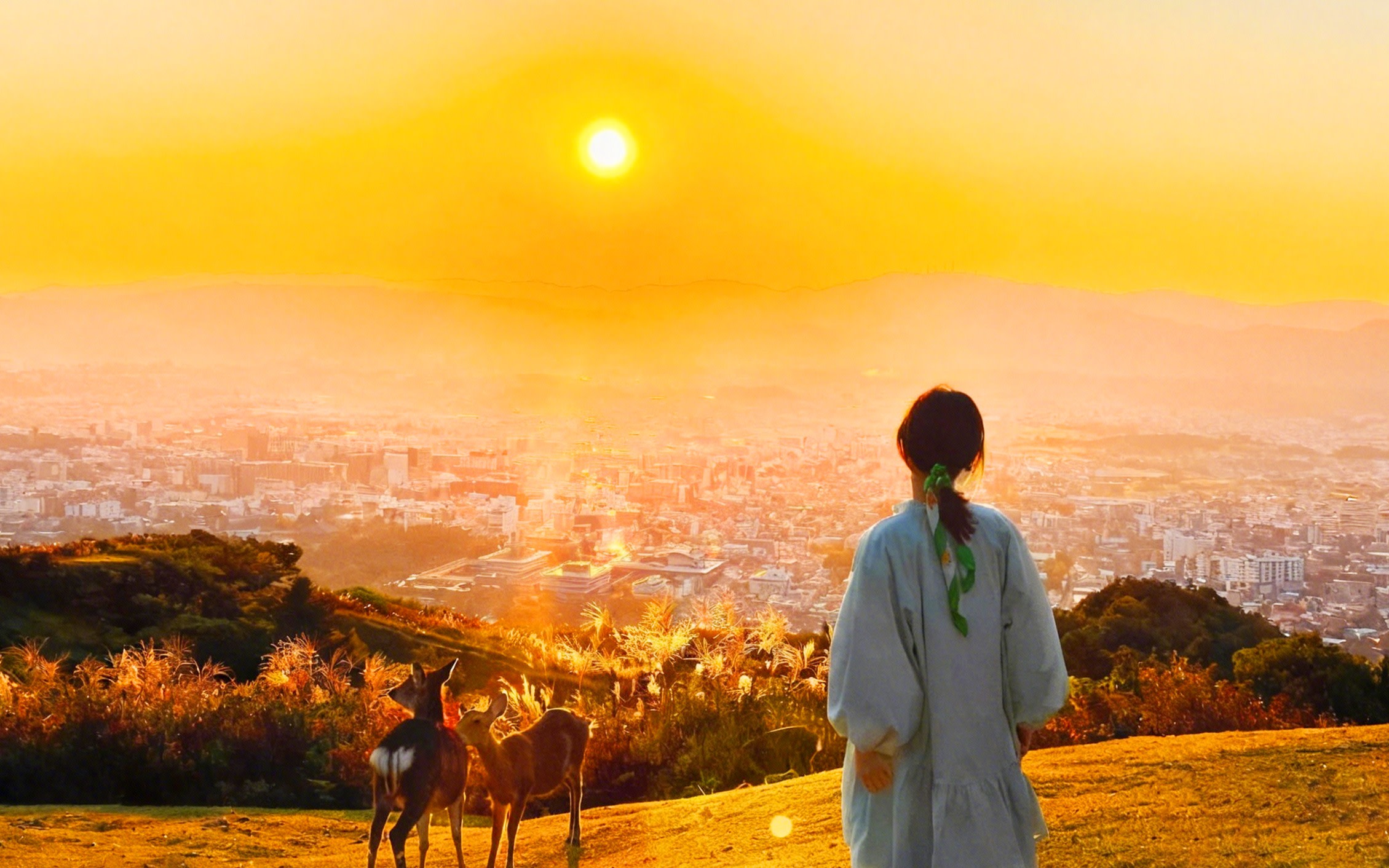 [Kyoto & Arashiyama & Nara] Nara Park (Deer Crackers Included) & Fushimi Inari Shrine or chiikawa Shop & Arashiyama Train & Bamboo Forest One Day Tour (From Osaka)