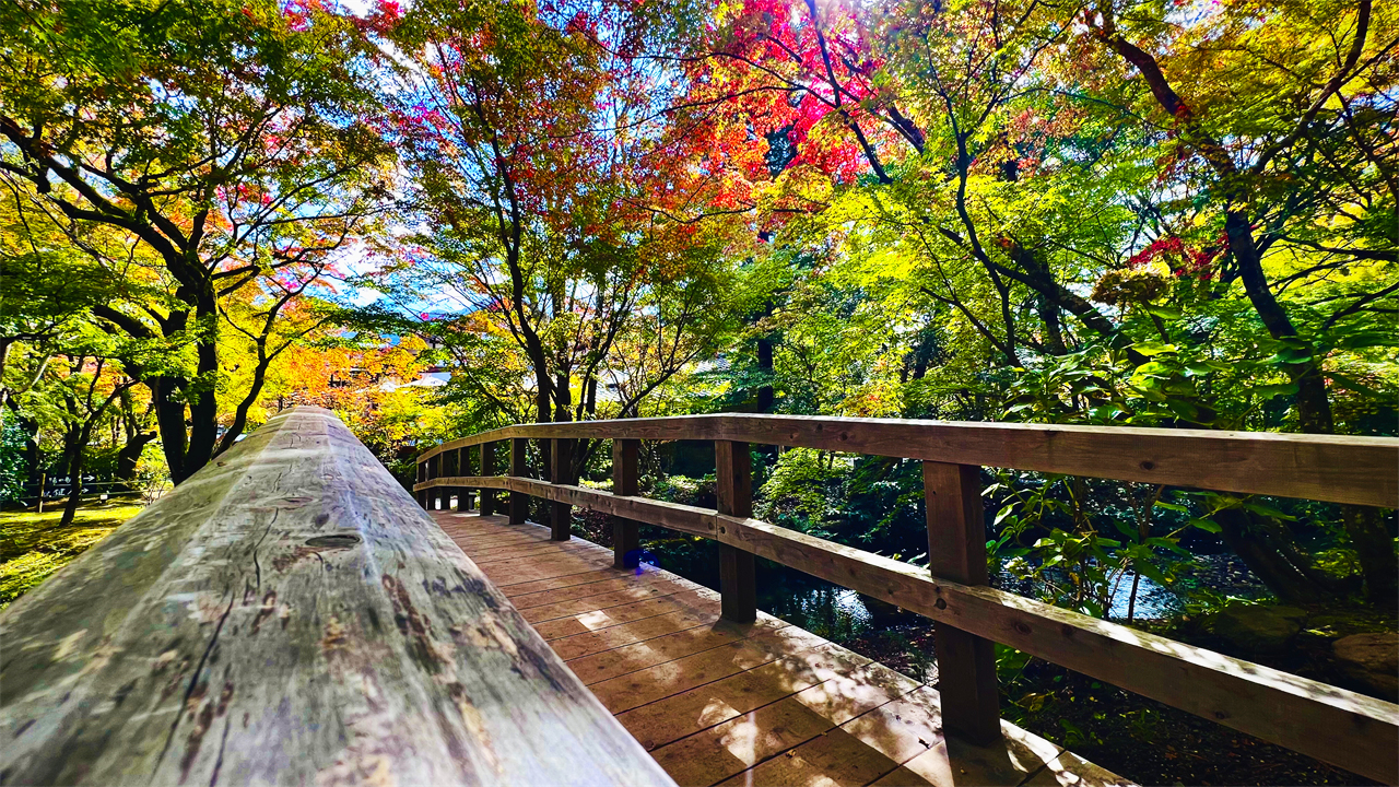 【親子推薦】大分一日遊｜由布院漫步, 金鱗湖晨光, 九州自然動物園, 別府海&灶地獄｜福岡出發