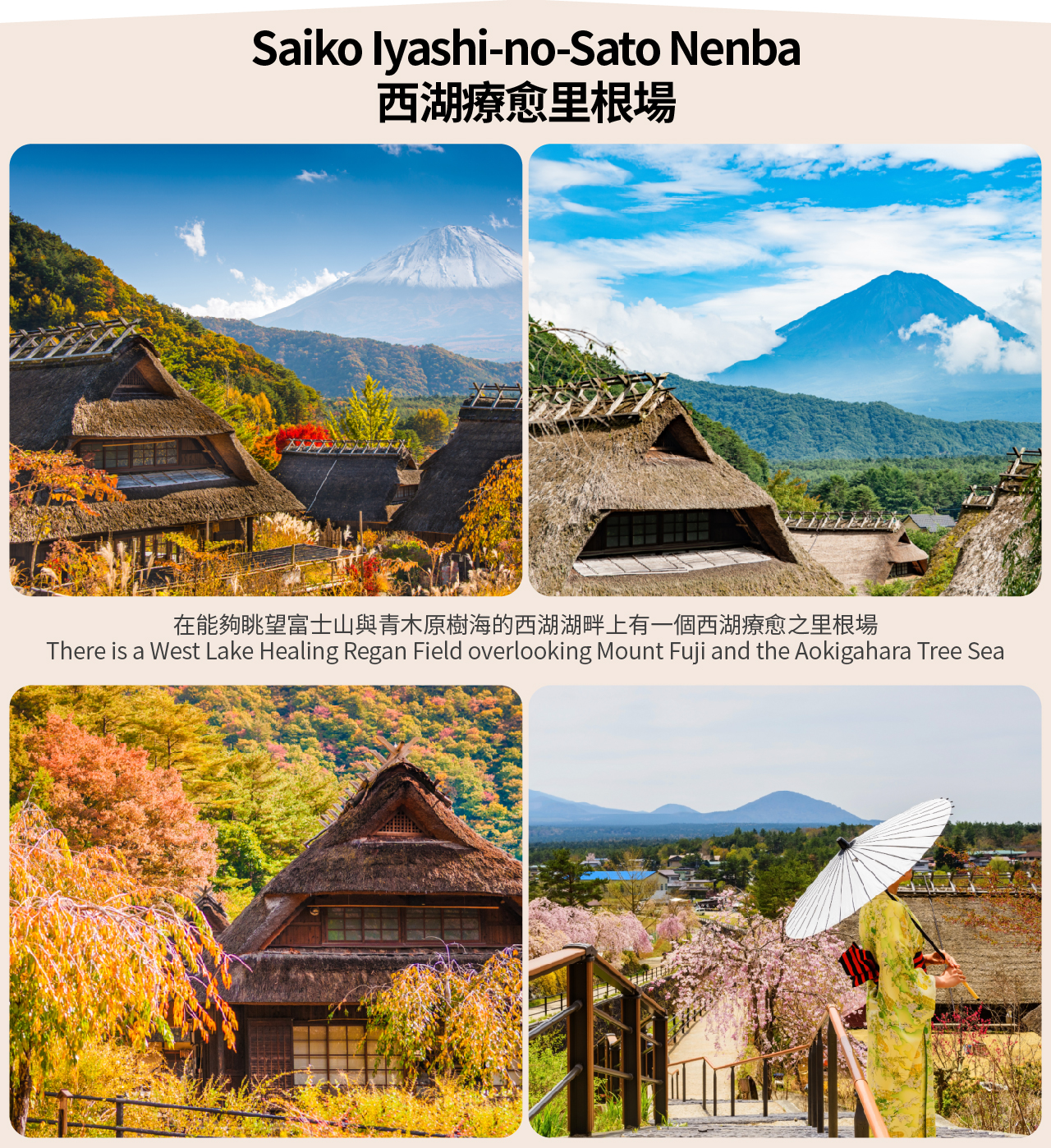 【富士山西湖古村之旅】新倉山五重塔&忍野八海&河口湖大石公園&西湖療愈里根場一日遊（東京出發）
