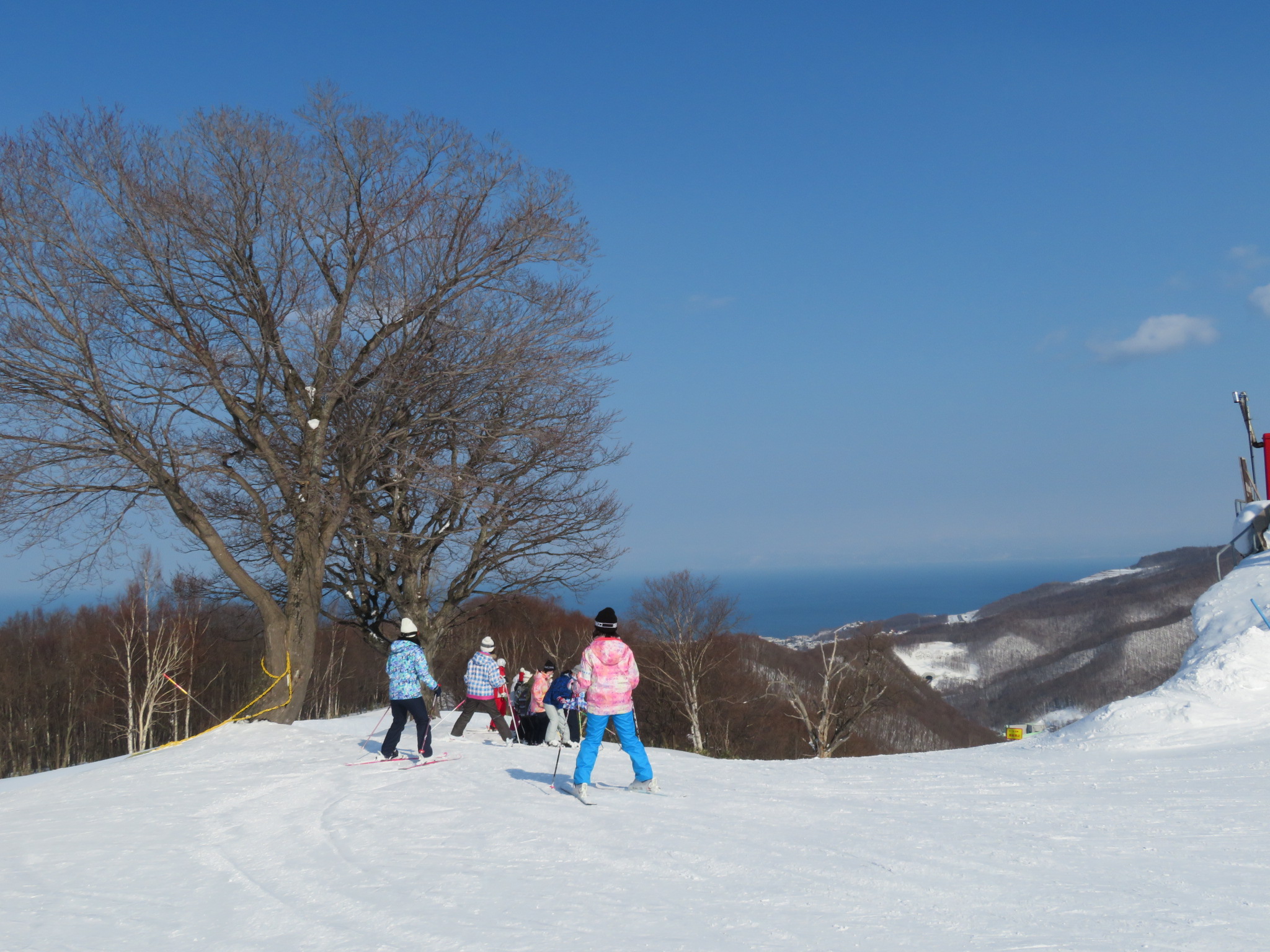 小樽朝里川溫泉滑雪場 1日纜車票 & 租借套裝