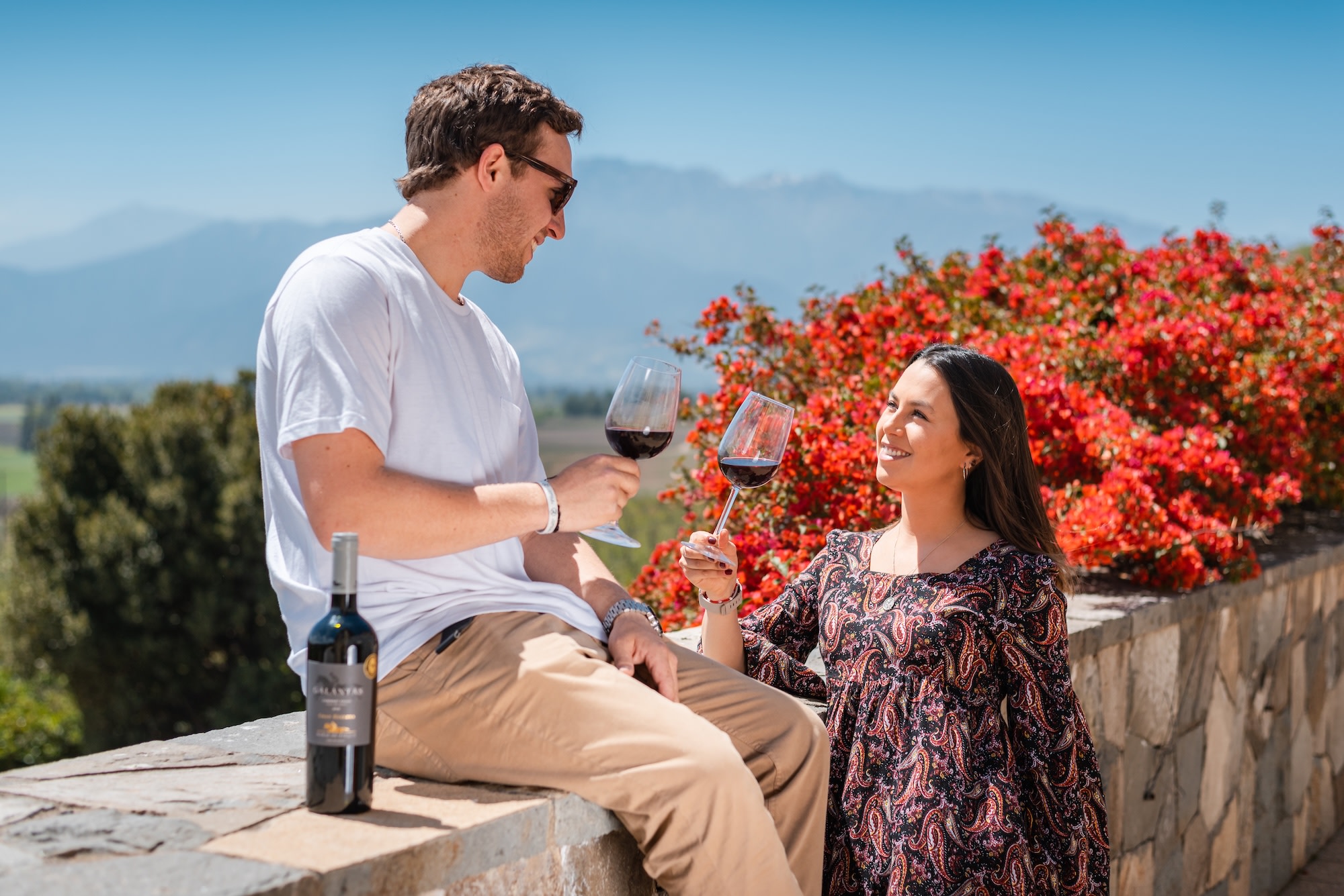 Haras de Pirque Vineyard Tour and Wine Tastings