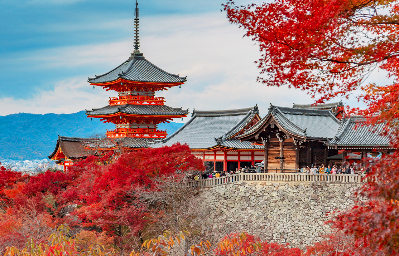 京都清水寺·二條坂·金剛寺·八坂庚申堂·醍醐寺·宇治平等院·源氏物語博物館一日遊｜大阪/京都出發