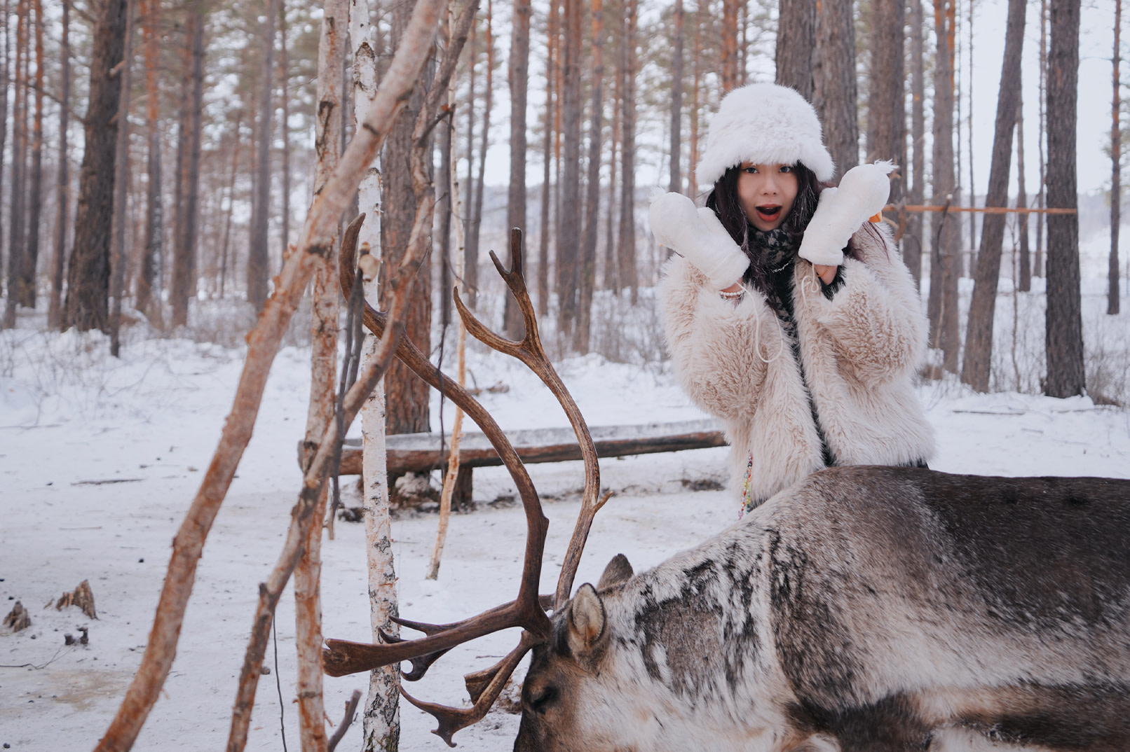 6-Day Private Tour of Changbai Mountain and Yanji, Jilin