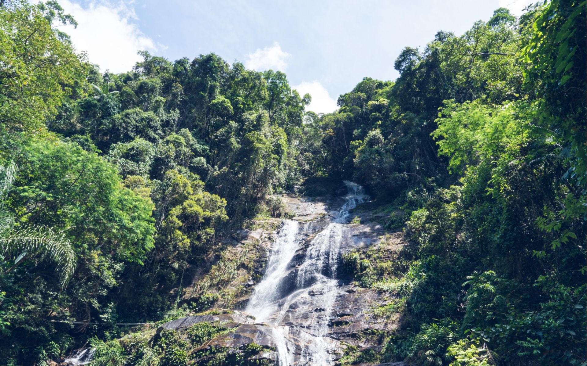 欣賞塔烏奈瀑布，這是蒂茹卡國家公園內最大的瀑布，水流傾瀉而下，穿越茂密的熱帶雨林。