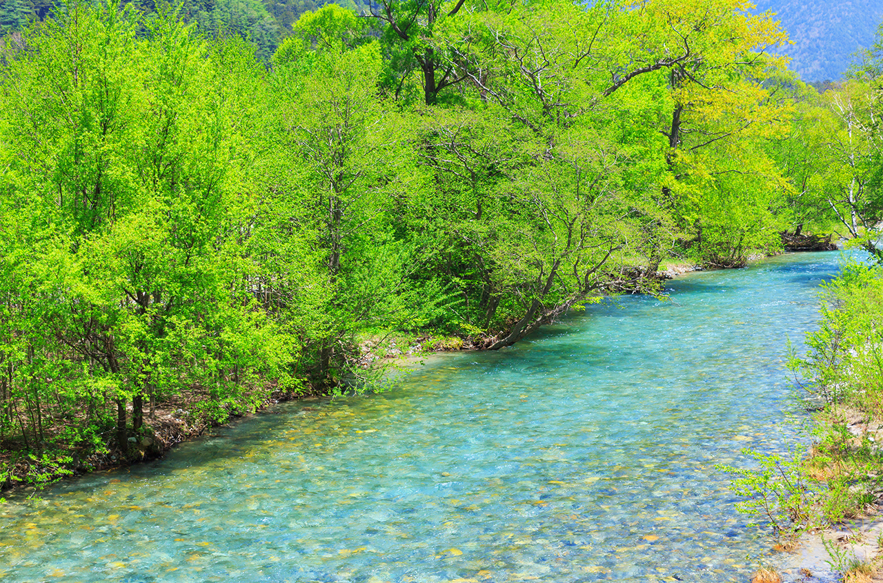 Step into Yueze Wetland and encounter rare flowers and plants and lively wild animals
