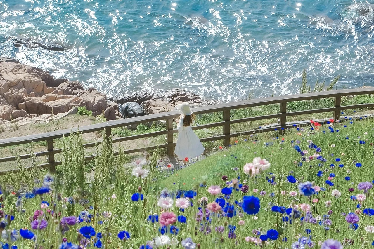 青島燕兒島是位於市南區浮山灣東端的半島型公園，因形似展翅海燕得名，曾是"青島十景"之一（燕島秋潮），現以海濱木棧道和礁石景觀成為網紅打卡地‌