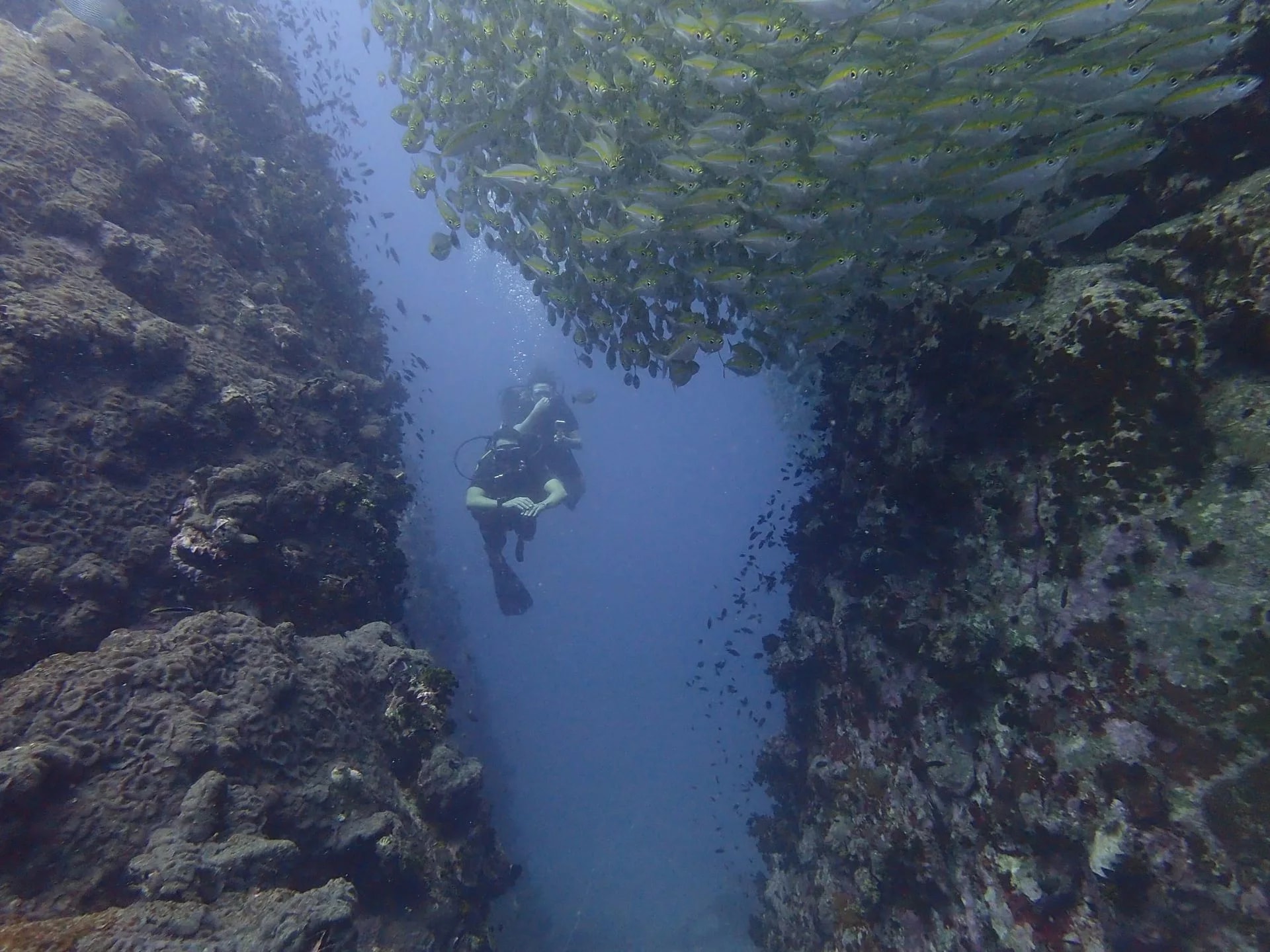 蘇梅島 PADI 五星潛水中心高氧空氣潛水員課程