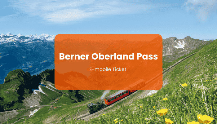 Berner Oberland Pass