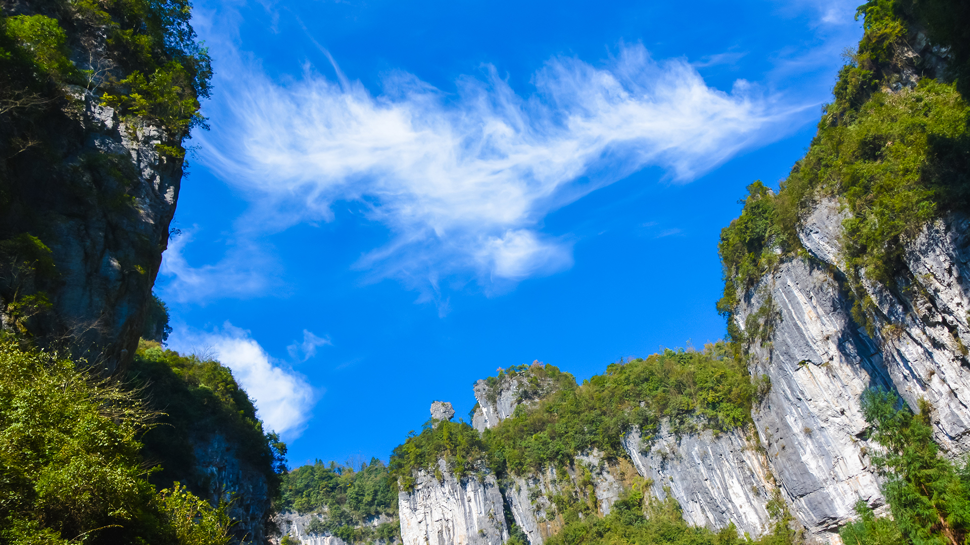 Chongqing Wulong Natural Three Bridges + Fairy Mountain Forest Park Private Tour 1 Day Tour