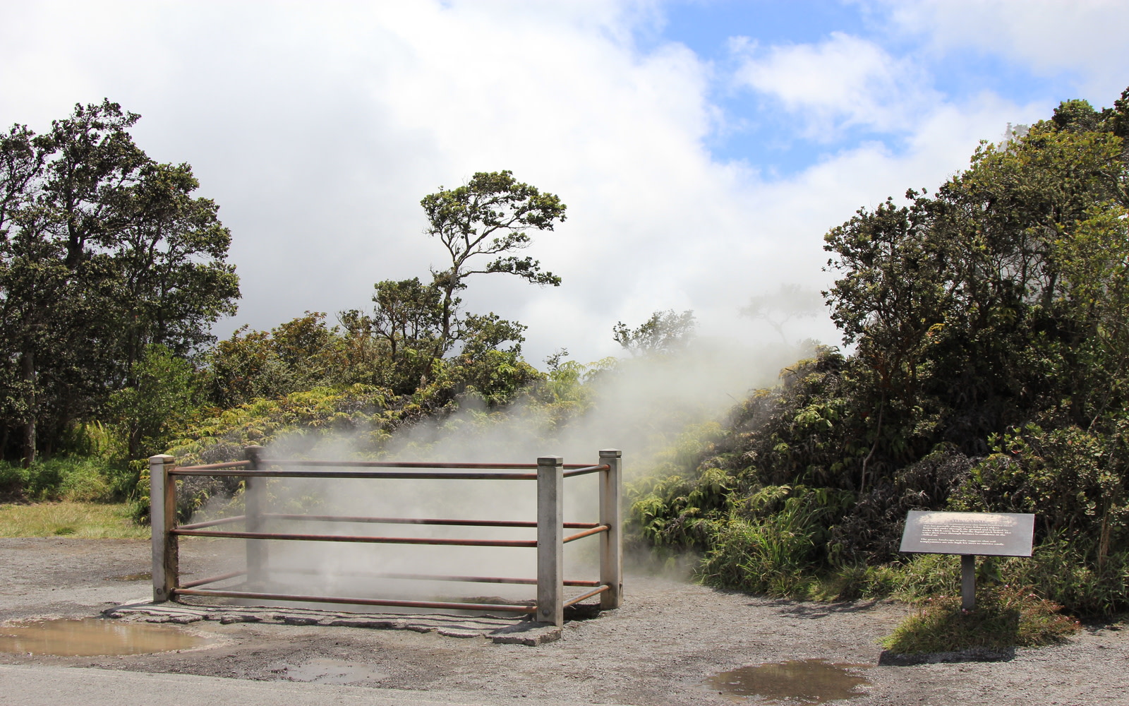 在國家火山公園內，親眼見證蒸汽孔和火山坑如何塑造夏威夷壯麗的景觀。