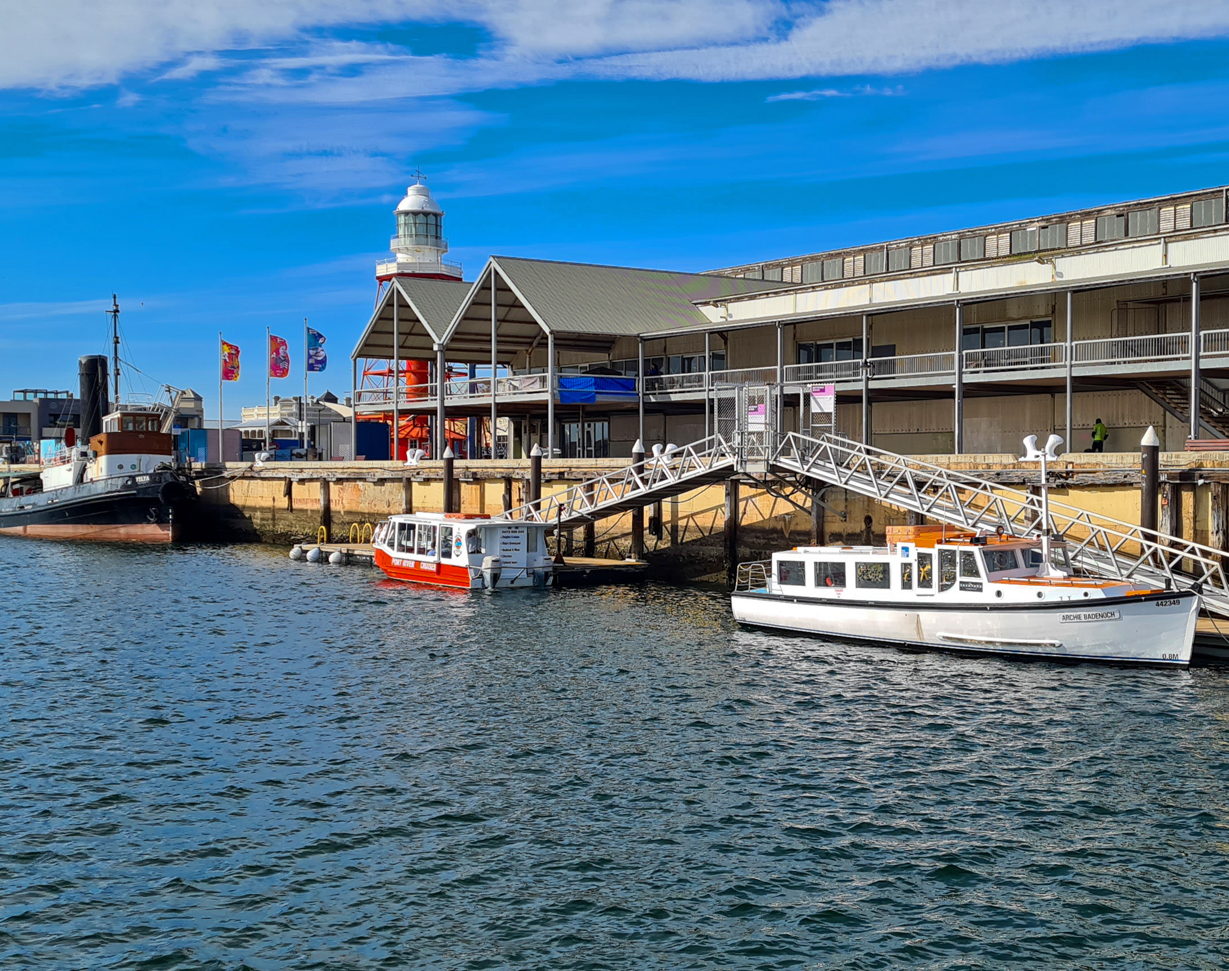 Port River Dolphin & Ships Graveyard Cruise from Port Adelaide