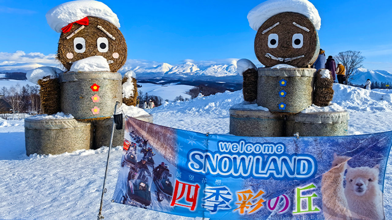 北海道春夏限定|富田農場&四季彩之丘&瀑布&青池一日遊|札幌出發