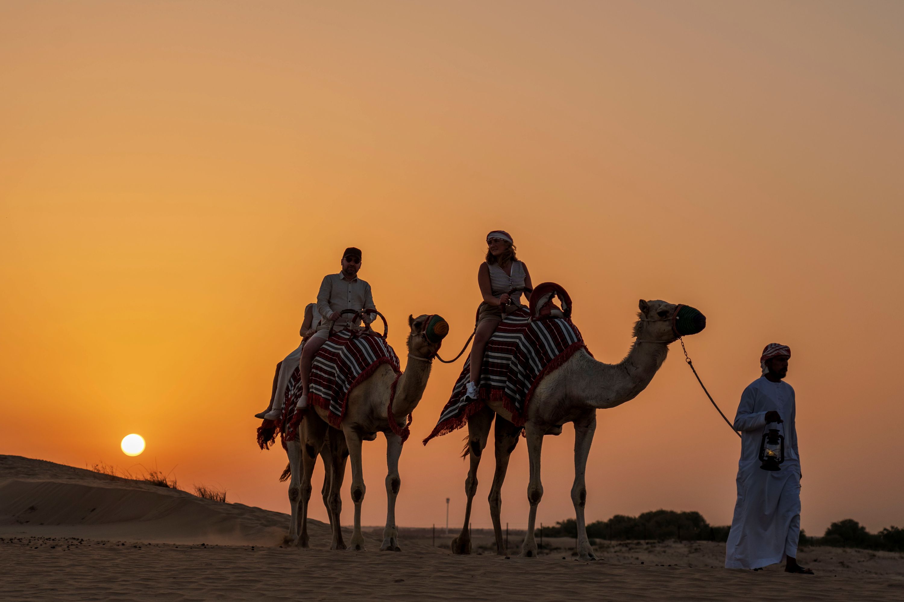 Dubai: Night Desert safari with Camel Ride & Stargazing