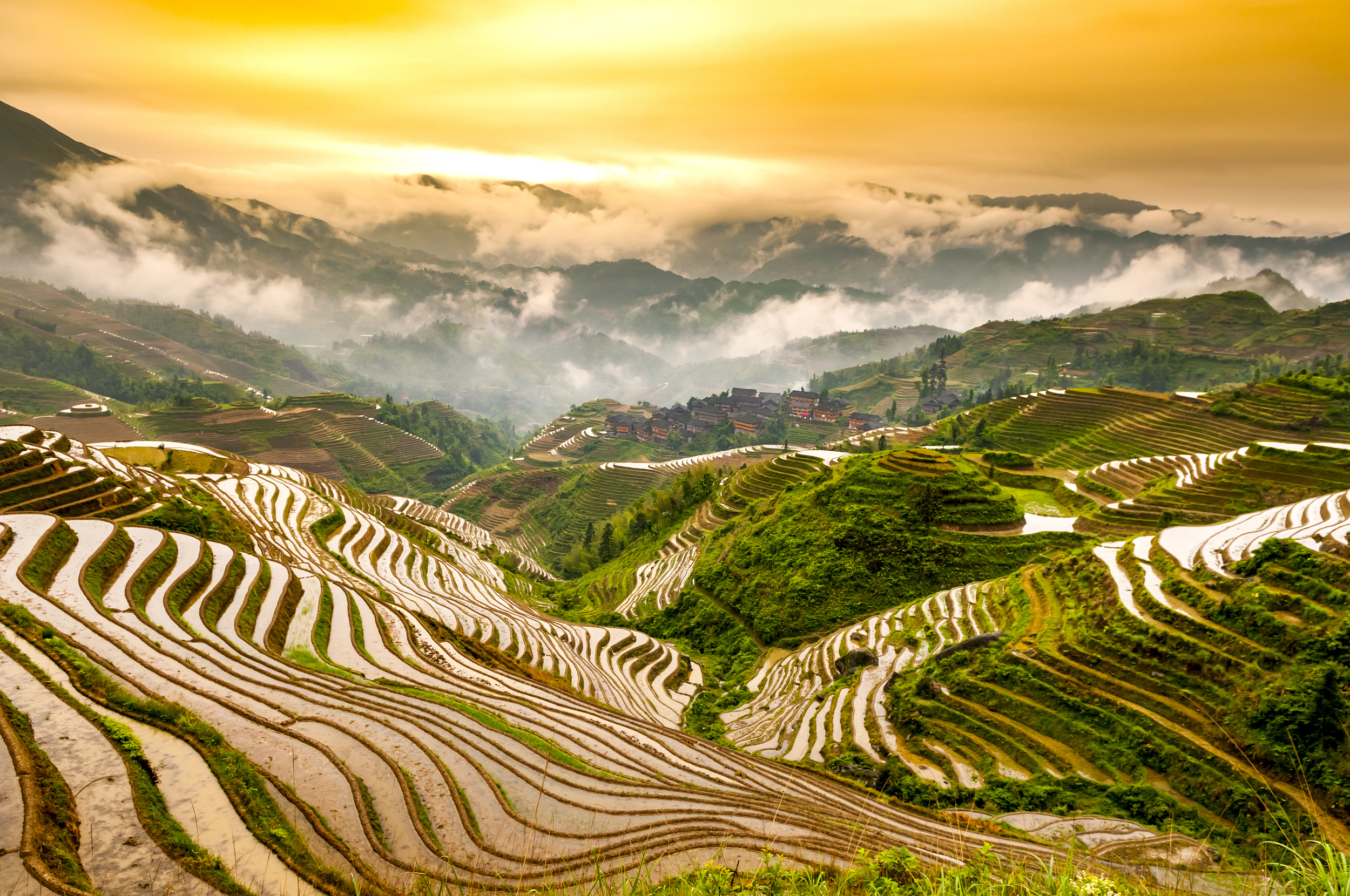 金色稻浪鋪天蓋地,龍脊梯田如巨龍盤踞山間,壯美梯田與吊腳樓相映成趣。 金色稻浪鋪天蓋地,龍脊梯田如巨龍盤踞山間,壯美梯田與吊腳樓相映成趣。