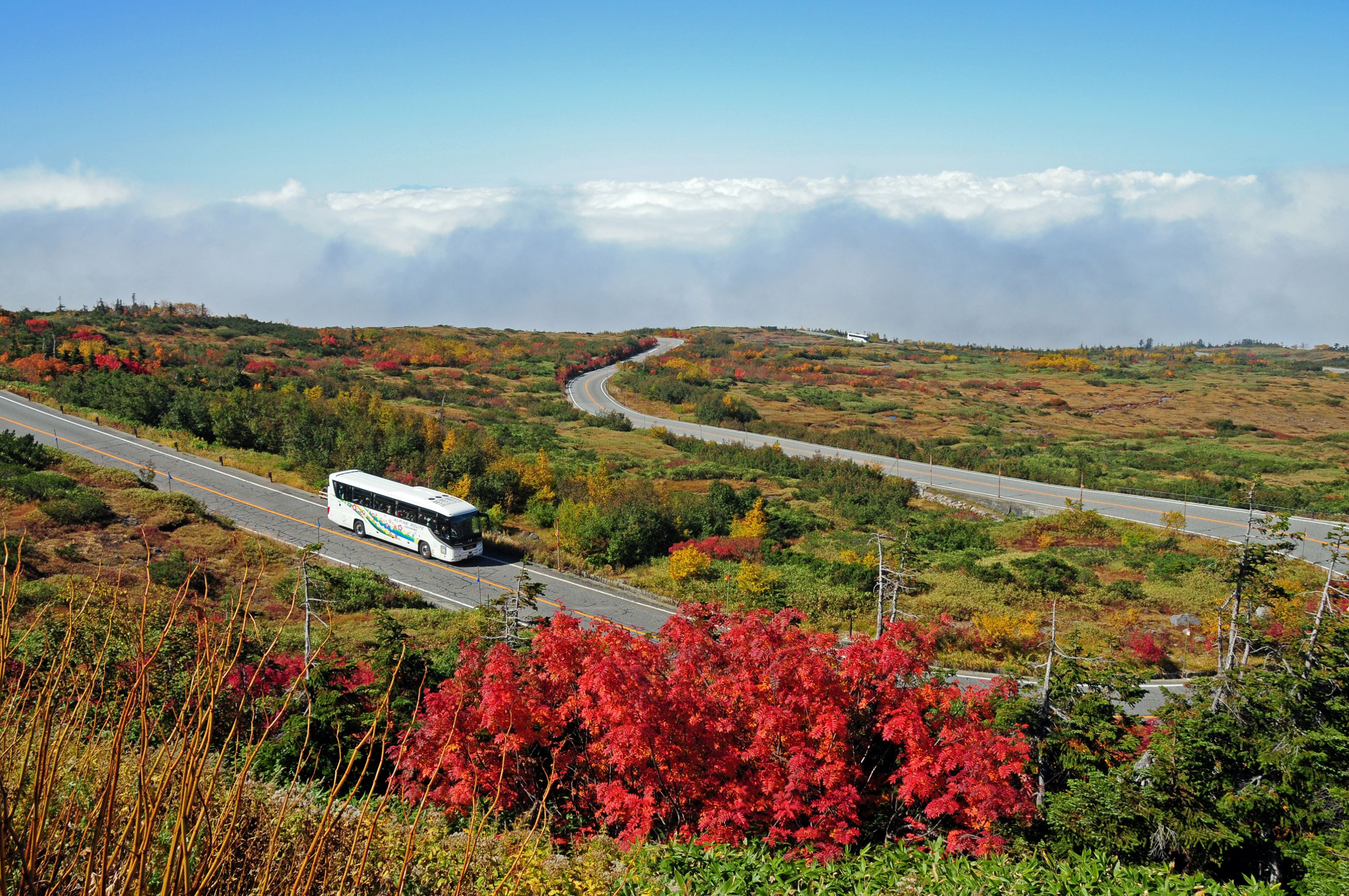 2D1N Tateyama Kurobe Alpine Route Kamikochi Summer Tour from Nagoya