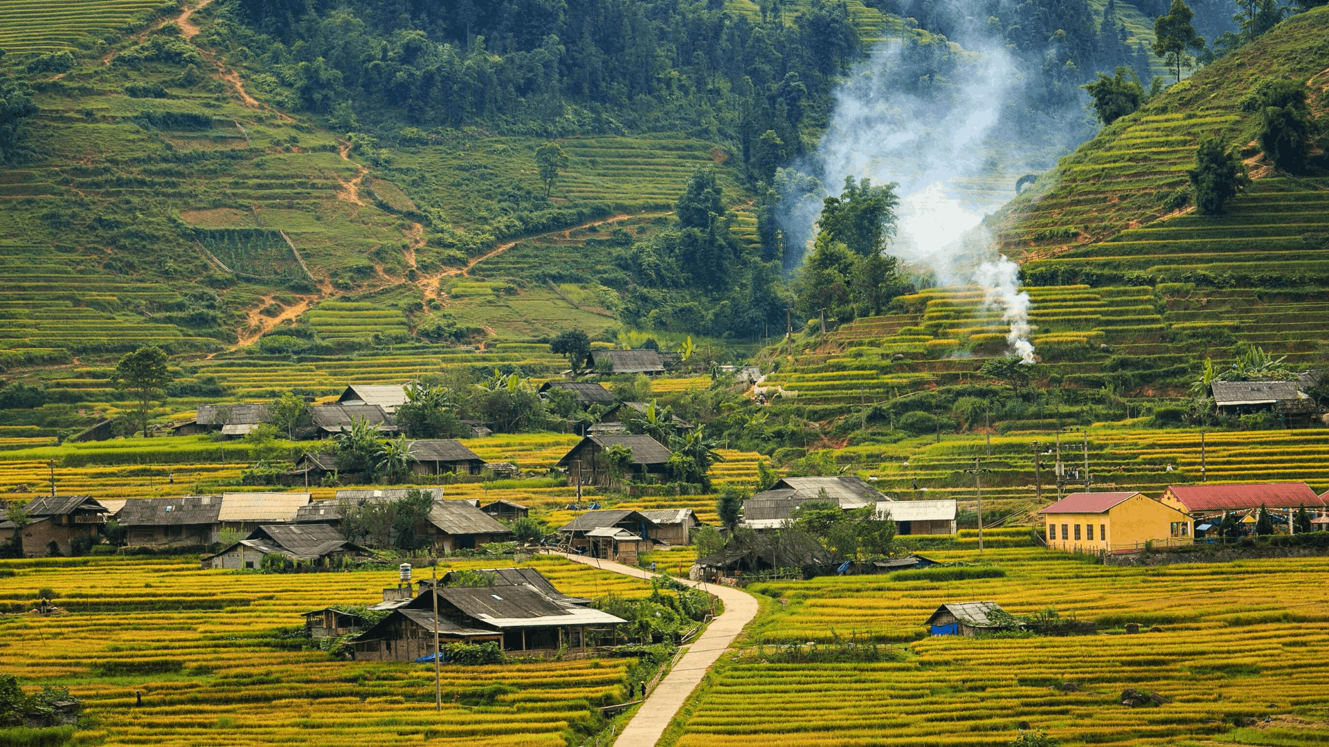 探索沙壩令人驚嘆的梯田,發掘越南北部山區的寧靜之美。 探索沙壩令人驚嘆的梯田,發掘越南北部山區的寧靜之美。