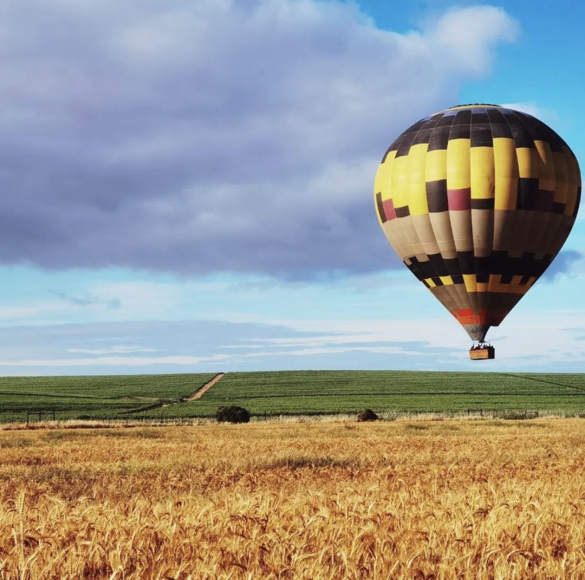 Hot Air Balloon in Stellenbosch