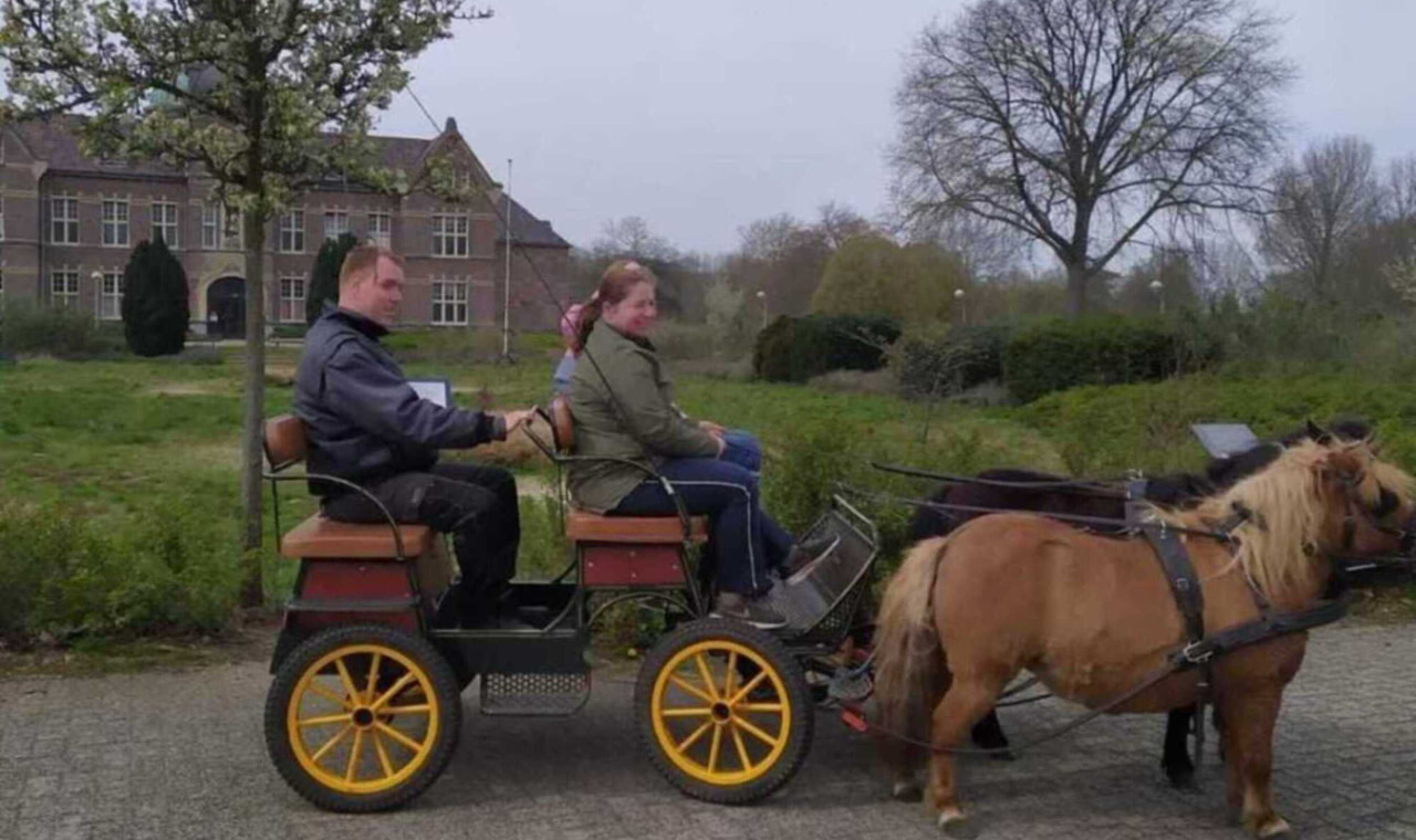 Amsterdam half-day guided walking tour