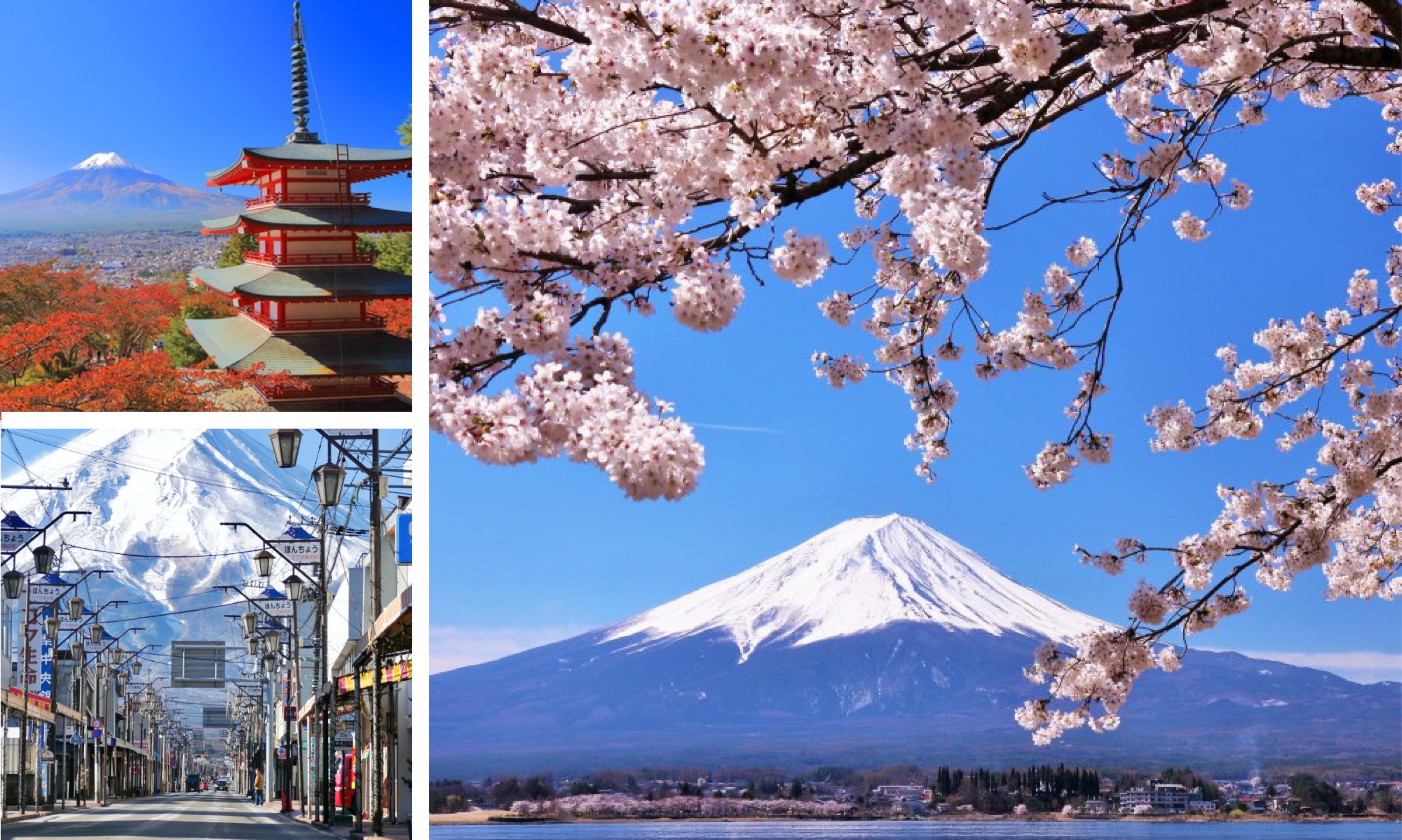 Mt Fuji & Five-Story Pagoda & Honcho Street & Oishi Park Day Tour 