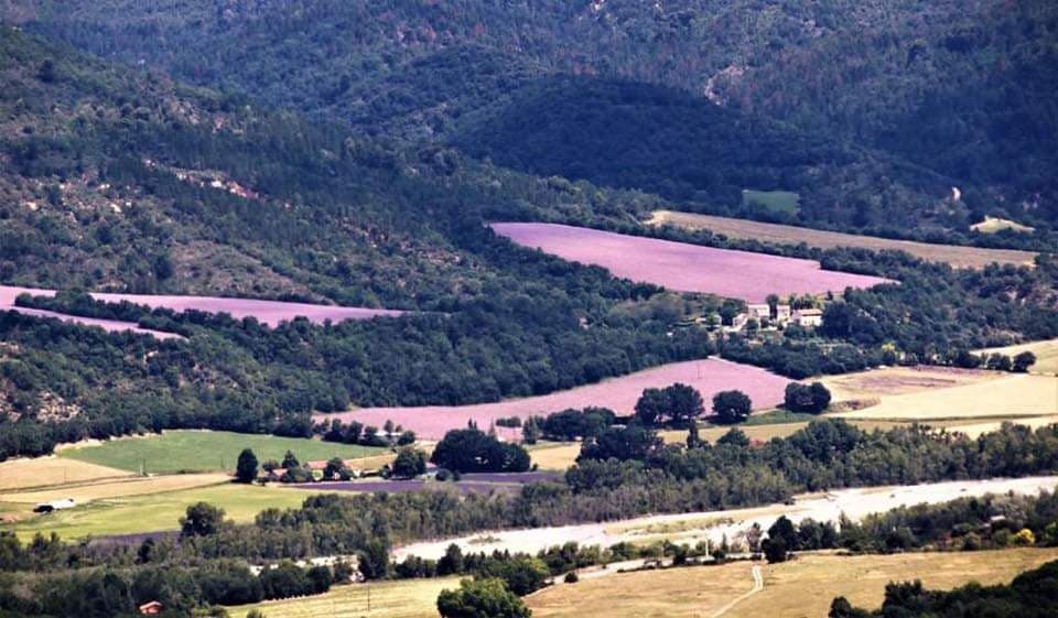 Plateau of Valensole and Lavender - Private from Aix-en-Provence