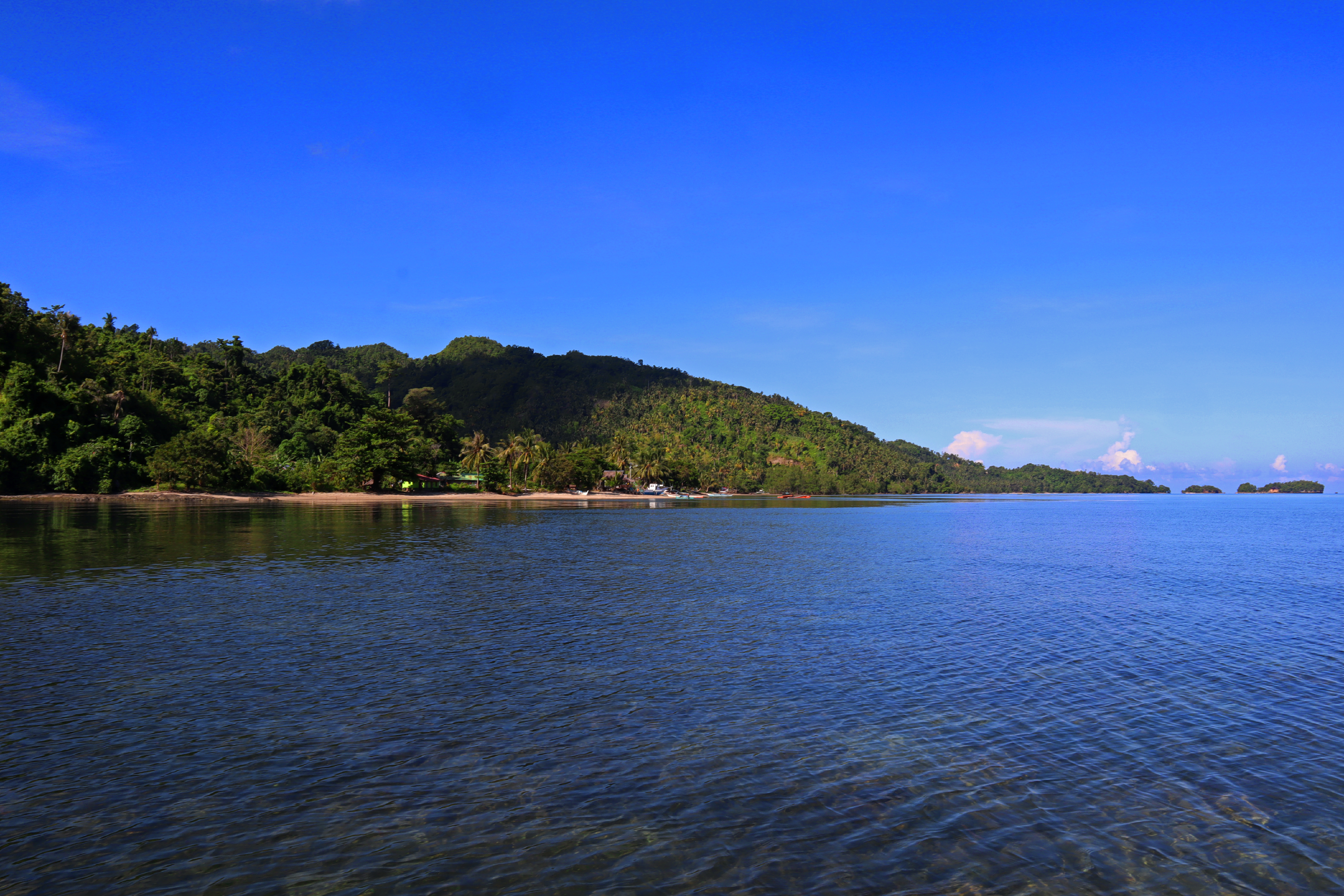 Half-Day Snorkelling Trip in Sipalay with PADI 5 Star Dive Resort