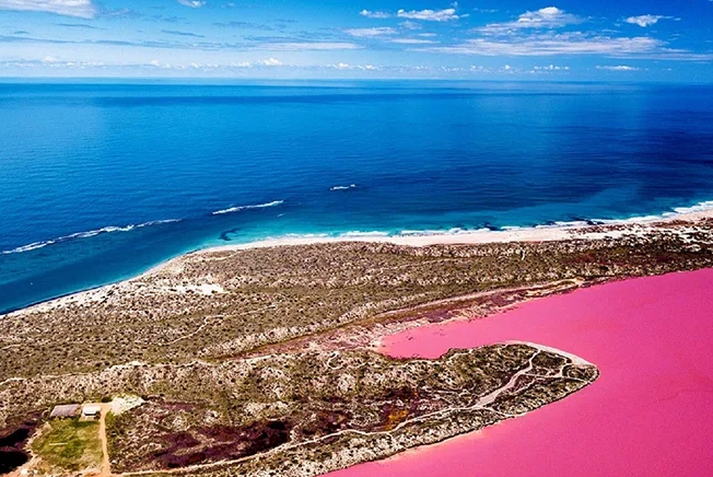 Hutt Lagoon Pink Lake Scenic Flight Experience from Geraldton