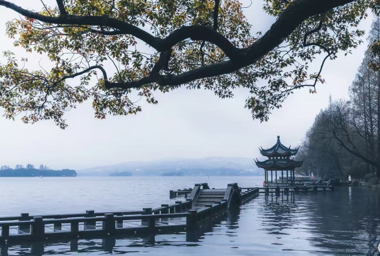 菸水朦朧，曲橋連亭，老樹橫斜間，藏著西湖最溫柔的水墨意境