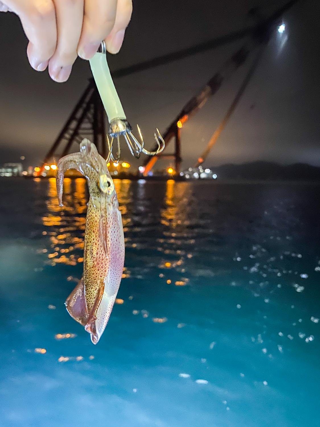 Yacht Night Squid Fishing Adventure  | Tsim Sha Tsui | Central