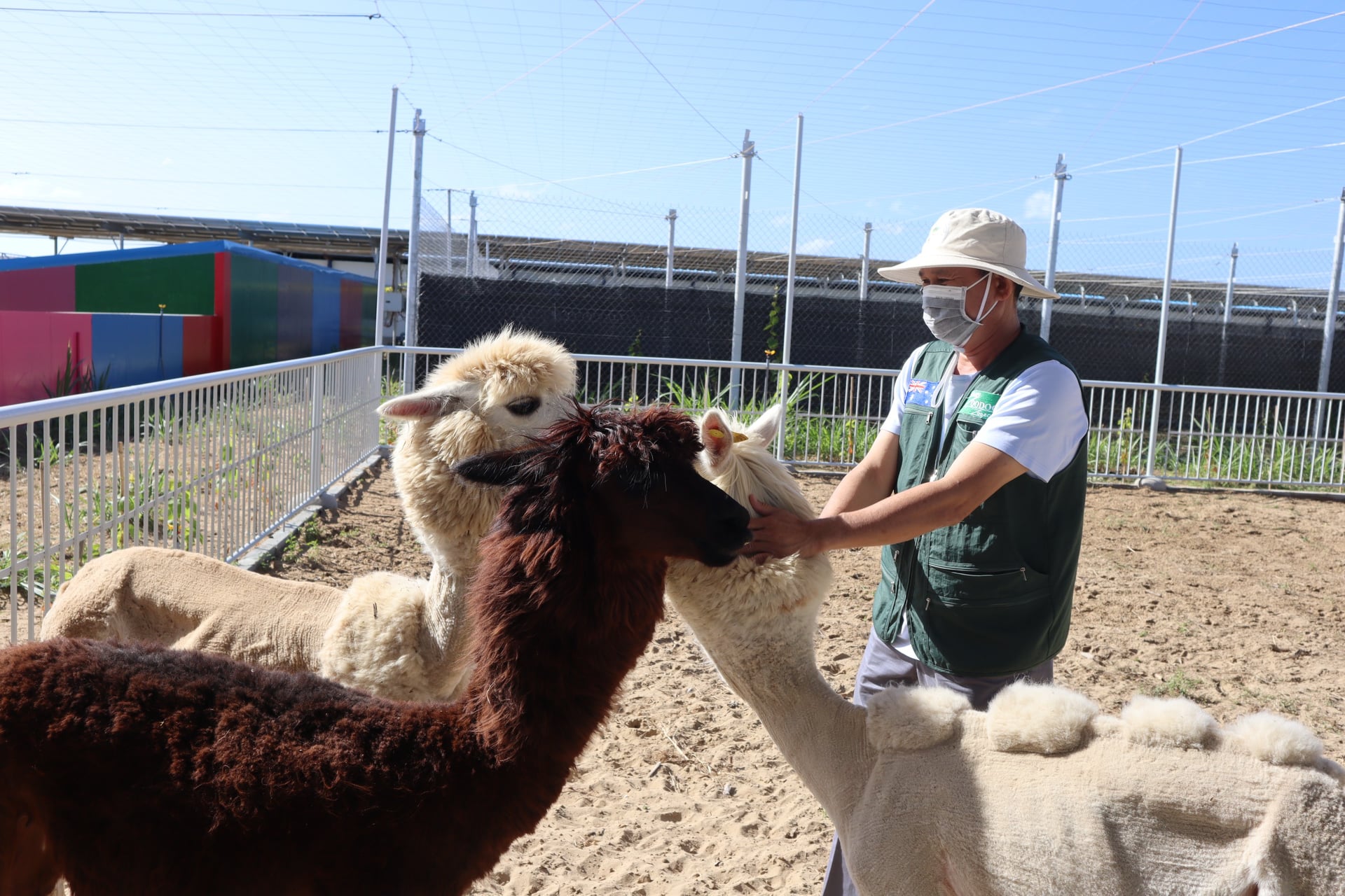 潘郎Tien Tien Farm農場 & 動物園門票