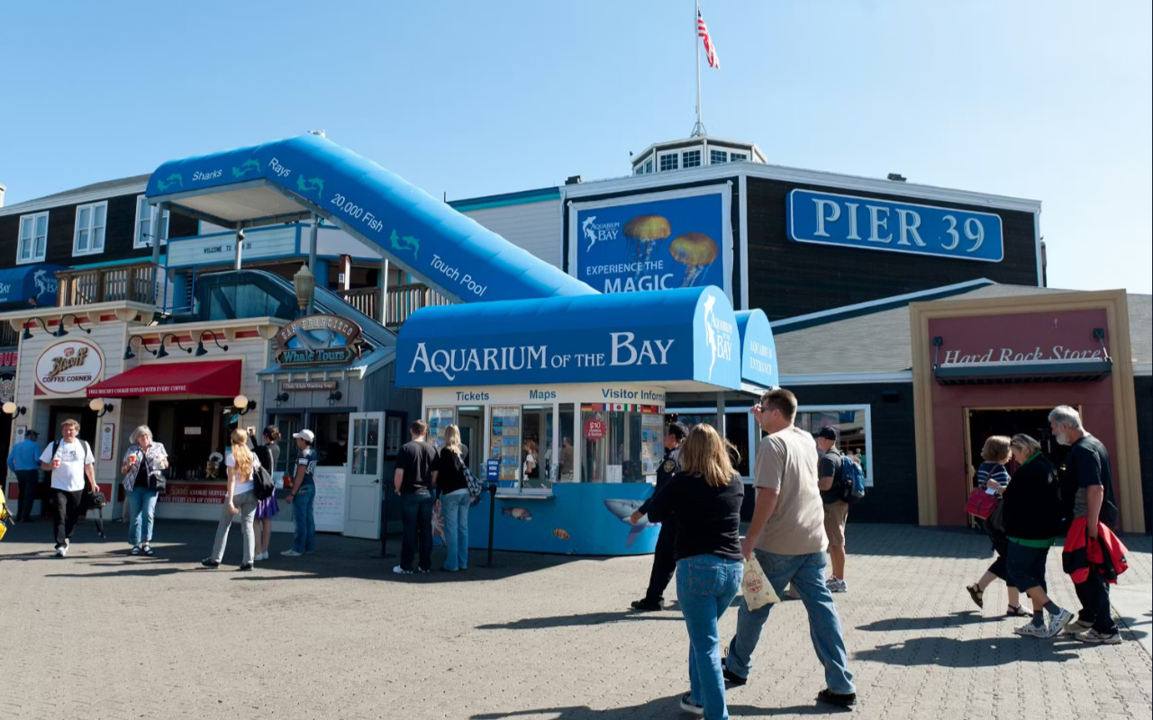 Билет в Аквариум залива